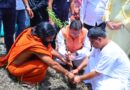 हरेला पर मुख्यमंत्री ने किया पौधरोपण, औषधीय वनस्पतियों के संरक्षण पर दिया जोर
