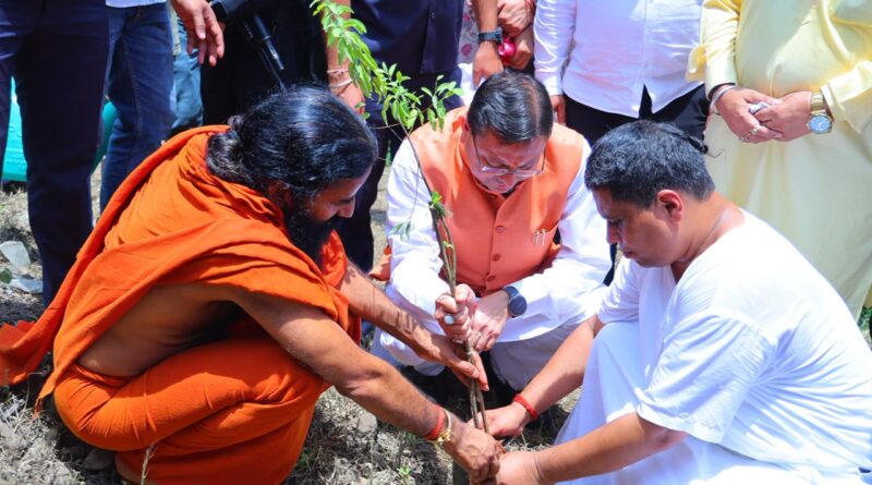 हरेला पर मुख्यमंत्री ने किया पौधरोपण, औषधीय वनस्पतियों के संरक्षण पर दिया जोर