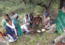 वन महोत्सव: ‘एक पेड़ मां के नाम’ अभियान के तहत गुनियाला और नागनाथ रेंज में हुआ पौधरोपण