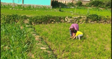 बरसात में भी पानी के लिये तरस रहे हैं गौचर के कास्तकार