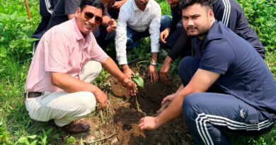 हरेला पर डायट गौचर में वृक्षारोपण, पर्यावरण संरक्षण का लिया संकल्प