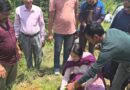 हरेला पर पोखरी क्षेत्र के विभिन्न स्थानों पर हुआ वृक्षारोपण
