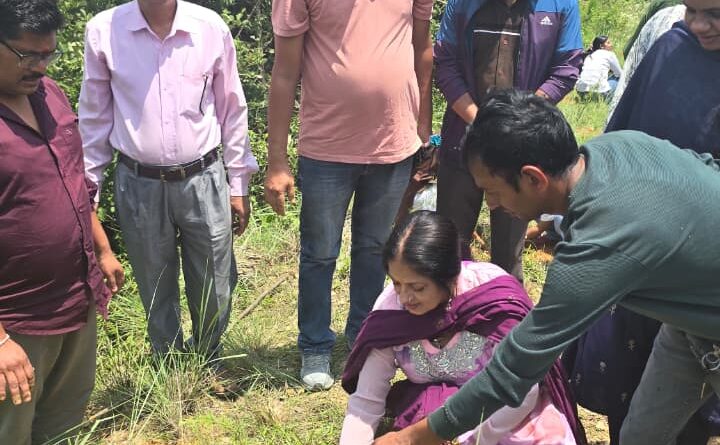 हरेला पर पोखरी क्षेत्र के विभिन्न स्थानों पर हुआ वृक्षारोपण