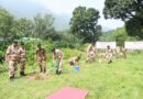 हरेला पर आईटीबीपी की आठवीं वाहिनी ने किया वृक्षारोपण, पर्यावरण संरक्षण का दिया संदेश