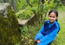 बैगलेस डे पर जनता जूनियर हाईस्कूल विनगढ़ में विद्यार्थियों ने किया वृक्षारोपण