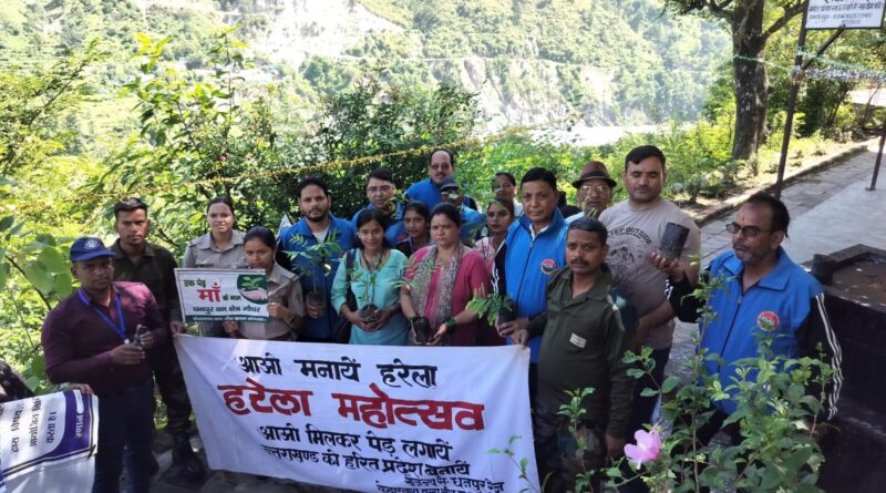 कारगिल शहीदों की स्मृति में हुआ वृक्षारोपण, पर्यावरण संरक्षण का दिया संदेश