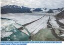 AS ICE MELTS IN THE ARCTIC, SOME DEEP-SEA CREATURES ARE THRIVING