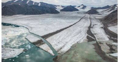 AS ICE MELTS IN THE ARCTIC, SOME DEEP-SEA CREATURES ARE THRIVING