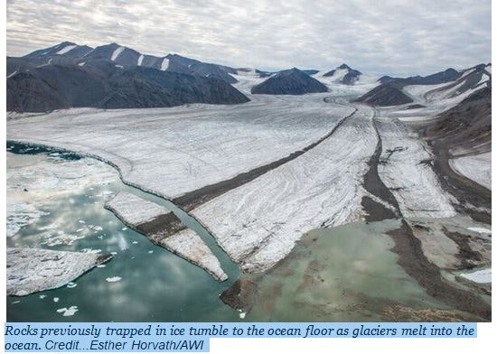AS ICE MELTS IN THE ARCTIC, SOME DEEP-SEA CREATURES ARE THRIVING