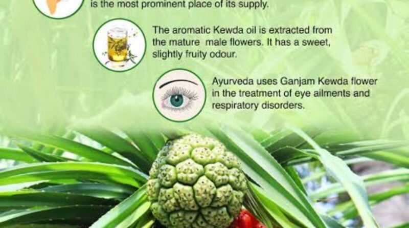 केवड़े का सुगंधित पौधा मानव सभ्यता से भी पुराना और हिमालय के निर्माण से भी पहले का है
