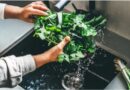 How to Stay Safe From the Severe Stomach Bug That’s Going Around