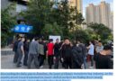  ‘They Don’t Need People’: The Workers Left Behind by China’s Robot Drive