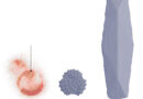 This Cell Feeds, Grows and Reproduces. And It’s Manmade.