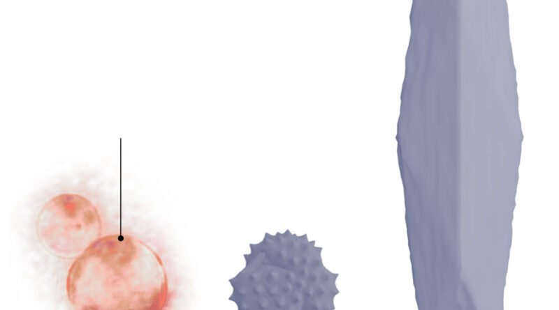 This Cell Feeds, Grows and Reproduces. And It’s Manmade.