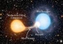 Astronomers discover an actively forming luminous blue straggler star