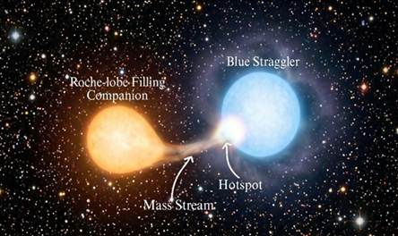 Astronomers discover an actively forming luminous blue straggler star