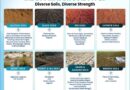 Saving Soil, Securing Farms  “Beneath Every Harvest Lies Healthy Soil”