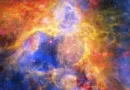 Colorful Collage of Tarantula Nebula