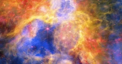 Colorful Collage of Tarantula Nebula