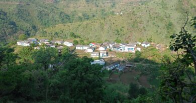 पांच साल से सड़क, दो साल से पानी का इंतजार; नावेतल्ली गांव की समस्याएं जस की तस पांच साल से सड़क, दो साल से पानी का इंतजार; नावेतल्ली गांव की समस्याएं जस की तस