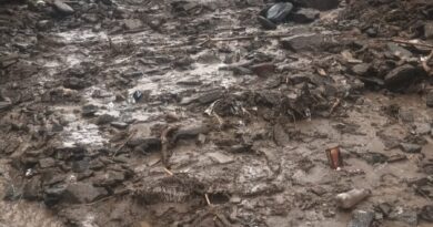 भारी बारिश से देवाल के सेलखोला और रोयाणा में भूस्खलन, कई परिवारों पर खतरा