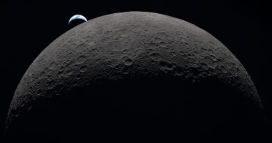 Human-Related Microbes May Survive Moon’s South Pole, NASA Finds