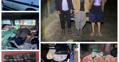 मिजोरम और असम में डीआरआई की बड़ी कार्रवाई, 15 किलो मेथम्फेटामाइन व 11 टन अफीम के बीज जब्त