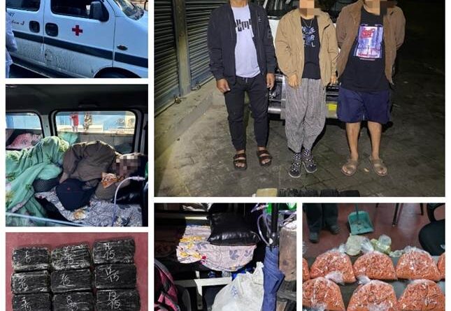 मिजोरम और असम में डीआरआई की बड़ी कार्रवाई, 15 किलो मेथम्फेटामाइन व 11 टन अफीम के बीज जब्त