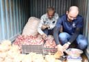 दिल्ली-एनसीआर में 35 रुपये किलो बिक रहा प्याज