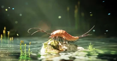 THE WORLD’S FIRST BUGS HAD WAY MORE LEGS