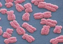 Scientists Find More Than 1,000 Genetic Variants Linked to Personality