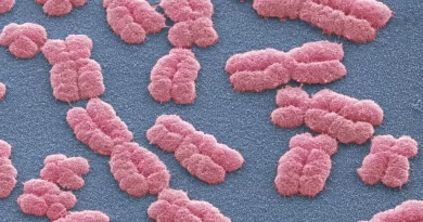 Scientists Find More Than 1,000 Genetic Variants Linked to Personality