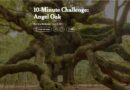 10-Minute Challenge: Angel Oak