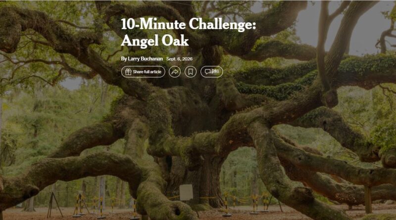 10-Minute Challenge: Angel Oak