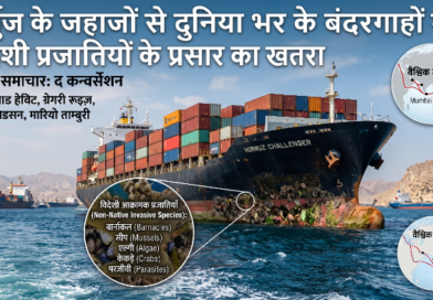 होर्मुज के जहाजों से दुनिया भर के बंदरगाहों में विदेशी प्रजातियों के प्रसार का खतरा