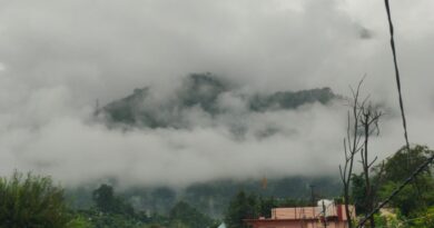 लगातार बारिश से गौचर क्षेत्र में जन जीवन प्रभावित