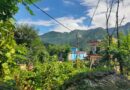 बारिश थमी तो खेतों में लौटे काश्तकार