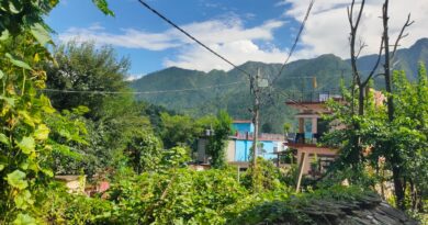 बारिश थमी तो खेतों में लौटे काश्तकार