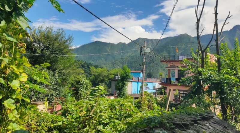 बारिश थमी तो खेतों में लौटे काश्तकार