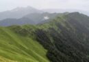 भिलंगना घाटी के एक दर्जन से अधिक बुग्यालों का हुआ अध्ययन