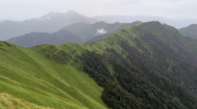 भिलंगना घाटी के एक दर्जन से अधिक बुग्यालों का हुआ अध्ययन