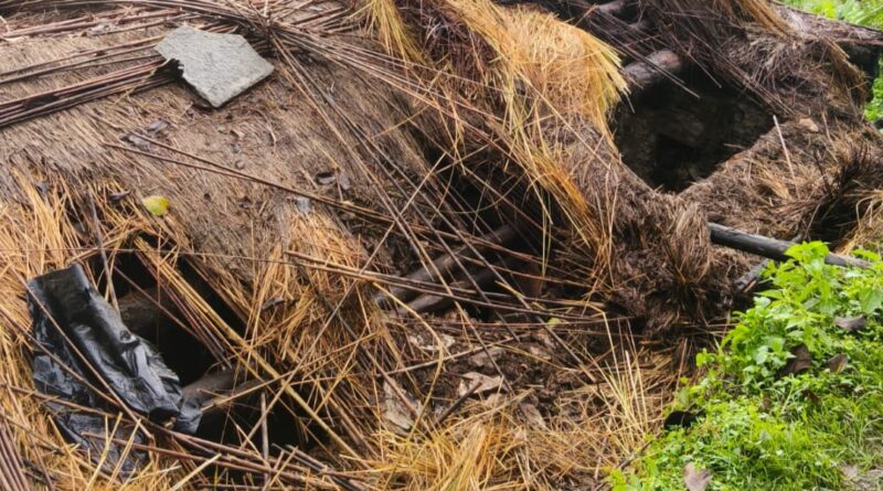भालुओं के हमलों से ग्रामीण दहशत में, मवेशियों को बना रहा शिकार
