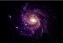 In Old NASA Data, Scientists Find a Surprising New Type of Cosmic Object