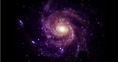 In Old NASA Data, Scientists Find a Surprising New Type of Cosmic Object