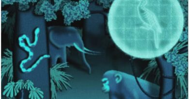 The Urgent Mystery of Where Viruses Hide