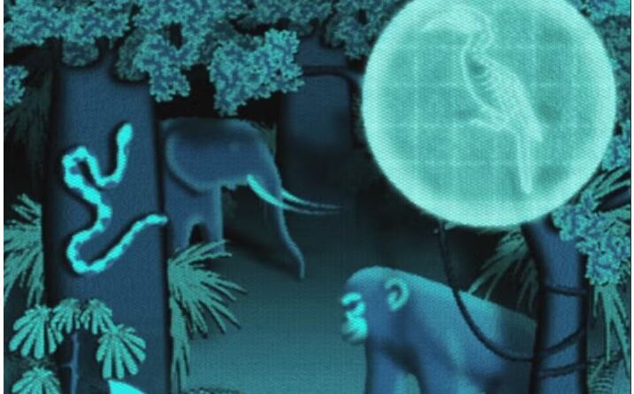 The Urgent Mystery of Where Viruses Hide