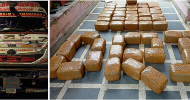 डीआरआई ने लगभग 740 किलोग्राम गांजा और चरस जब्त कर अवैध गांजा तस्करी पर अपनी कार्रवाई तेज की