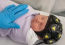 Are Babies Conscious?