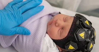 Are Babies Conscious?