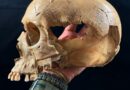 Three Stone Age Caves Reveal Continual Cannibalism